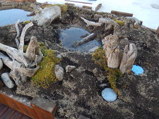 DSCN6620.JPG