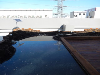 DSCN6637.JPG